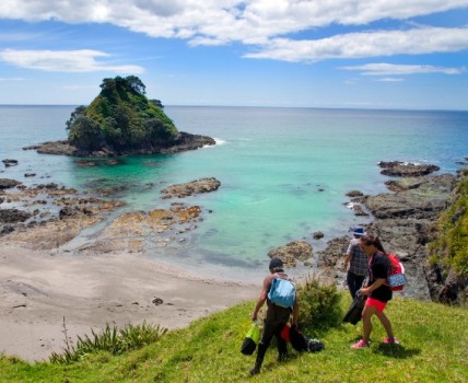 People walking at the beach in New Zealand